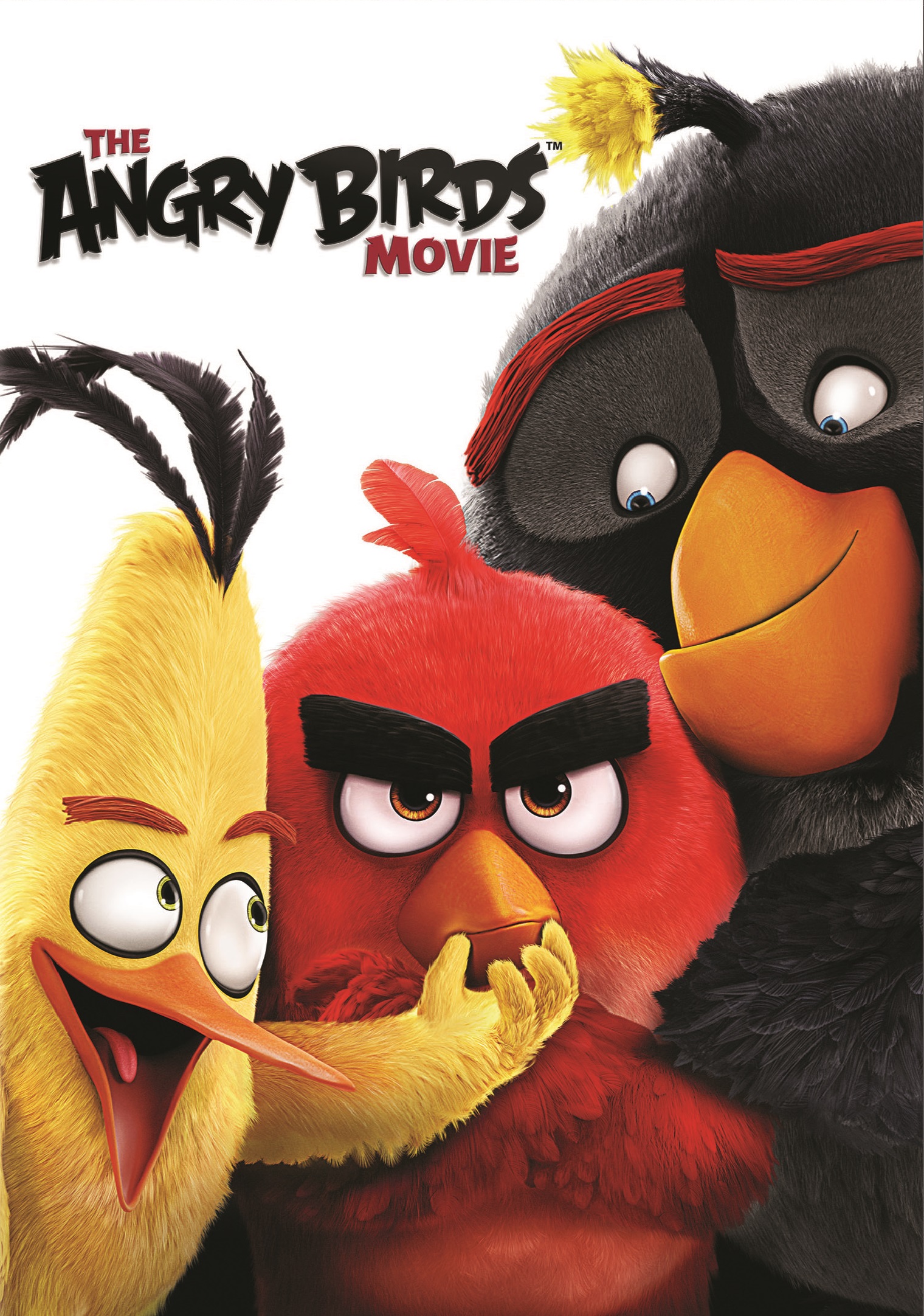 Poster de la primera película de Angry Birds